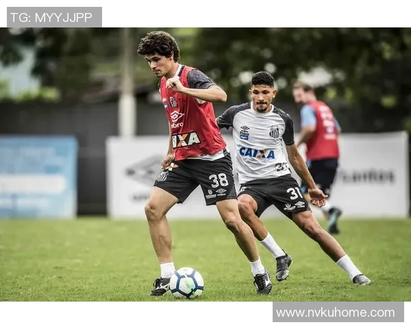 塞阿拉对阵沙佩科恩斯赛事分析与笔者推荐策略分享